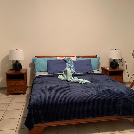 Royal Palm Resort Curacao Geweldig Zeezicht Willemstad Kültér fotó