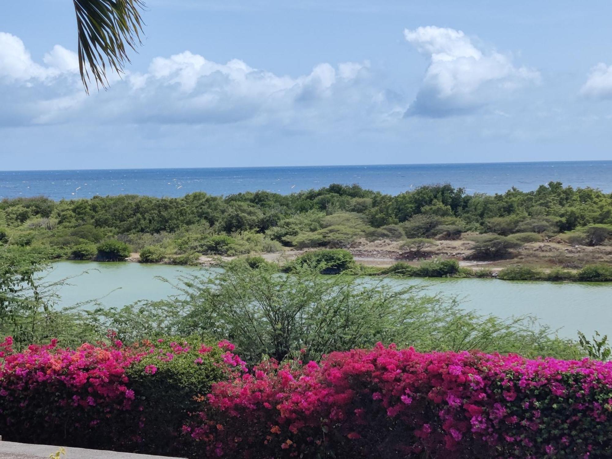 Royal Palm Resort Curacao Geweldig Zeezicht Willemstad Kültér fotó