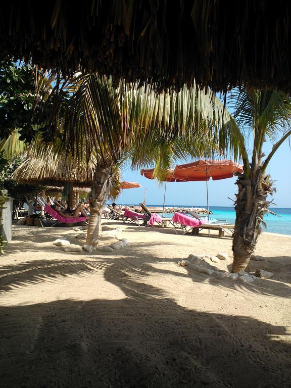 Royal Palm Resort Curacao Geweldig Zeezicht Willemstad Kültér fotó